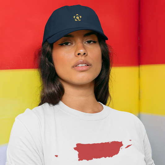 a Icon Dad hat