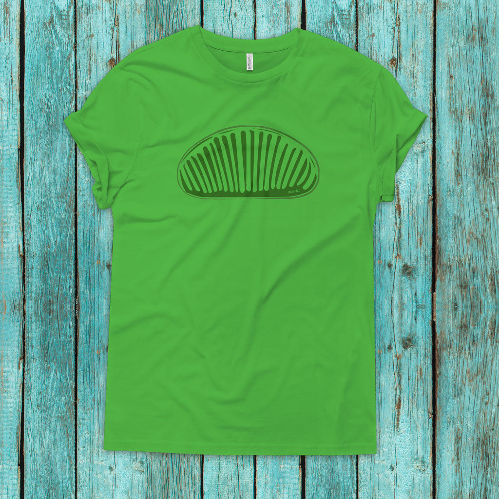 Menta Verde