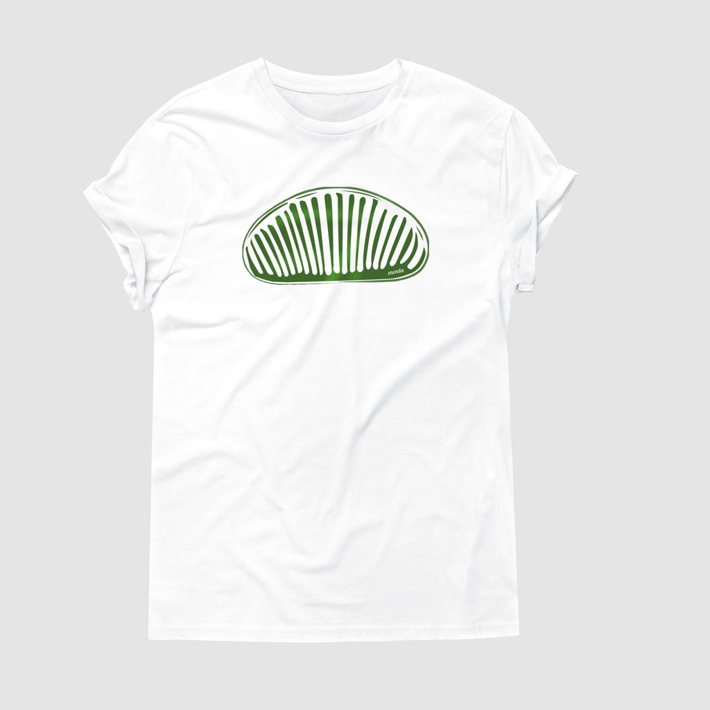 Menta Verde